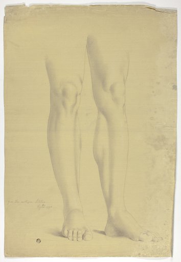 Legs after Antique Statue of Standing Figure