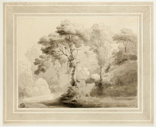 Wooded Landscape