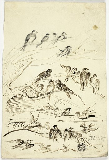 Swallows Before They Take Their Departure