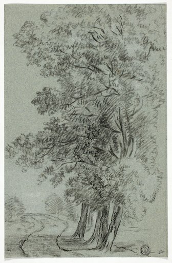 Road Past Trees