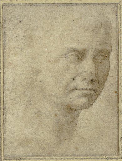 Head of a Man in Three-quarters Profile