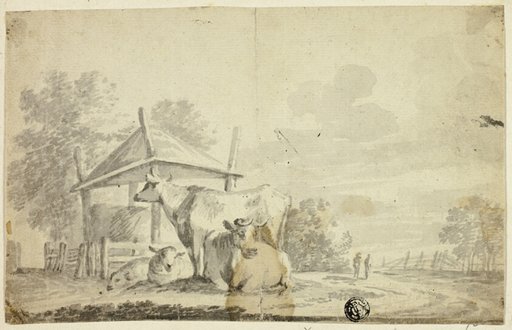 Cows and Sheep at Cow Shed