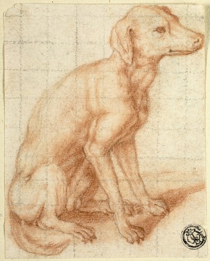 Retriever