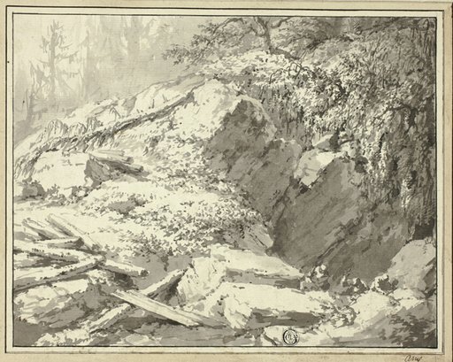 Mountainside with Fallen Tree