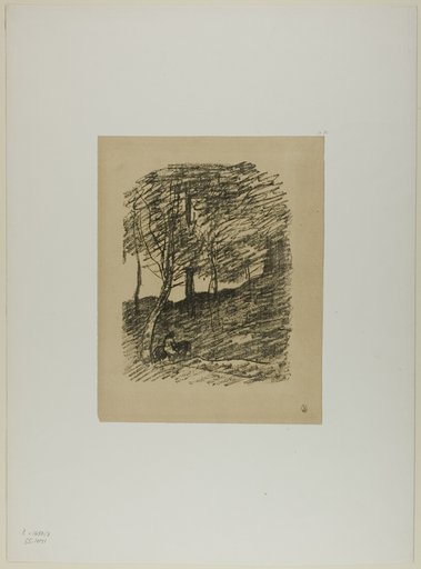 Beneath the Trees
