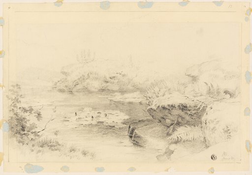 Pond with Water Lilies