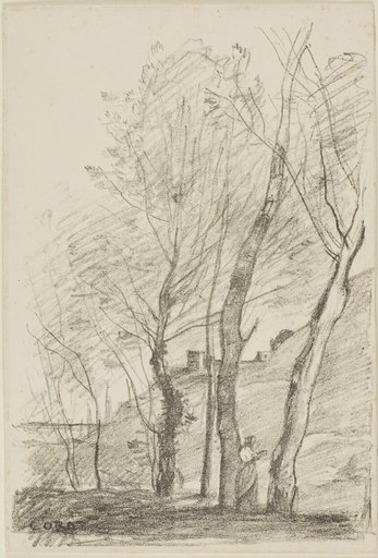 Reading Beneath the Trees