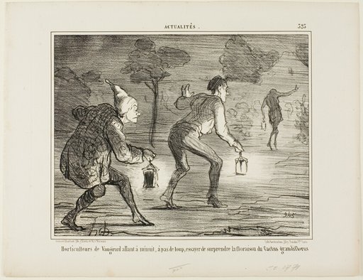 Horticulturists of Nanterre tiptoeing at midnight towards the cactus grandiflorus in order to surprise it in its blossoming, plate 323 from Actualités