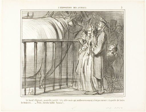 The Ox-Elephant, a new and very promising breed. Unfortunately still beyond the financial possibilities of the average citizen.... price: 30'000 francs, plate 5 from L'exposition Des Animaux