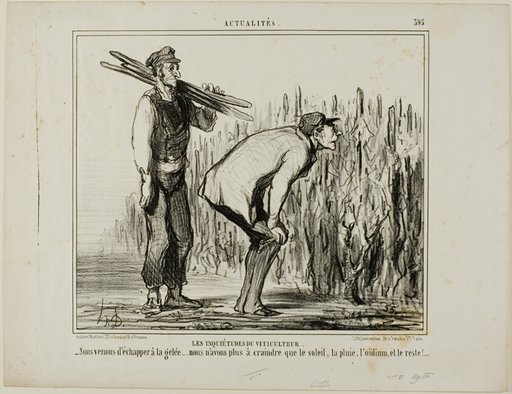 The Worries of a Wine Grower. “- We escaped the frost..... all we now have to worry about is the sun, the rain, the vine-mildew and all the rest...,” plate 397 from Actualités