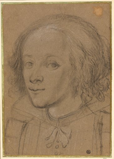 Portrait of a Young Woman