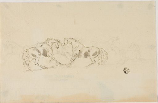 Horses Fighting