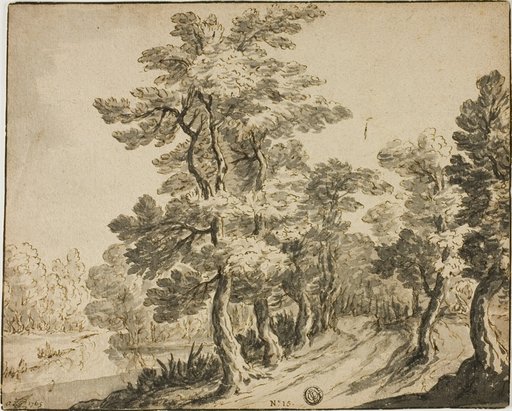 Road through Leafy Trees near Stream