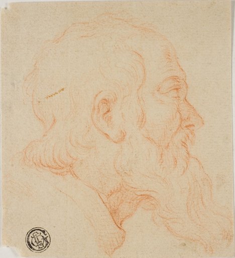 Head of Old Man in Profile to Right