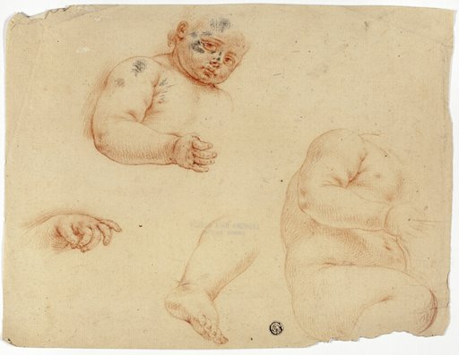 Sketches of a Child:  Half-Length, Torso, Foot, Hand