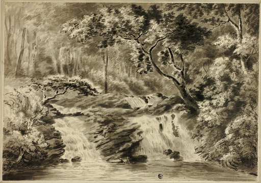 Waterfalls and Woods