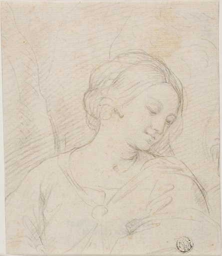 Half-Length View of Madonna