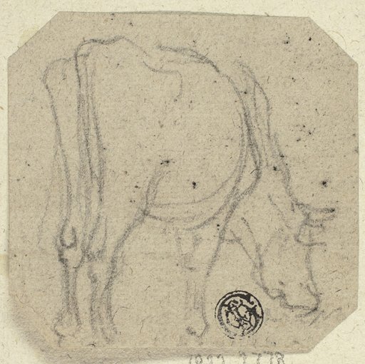 Cow Grazing