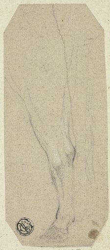Cow's Leg
