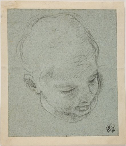Young Boy's Head