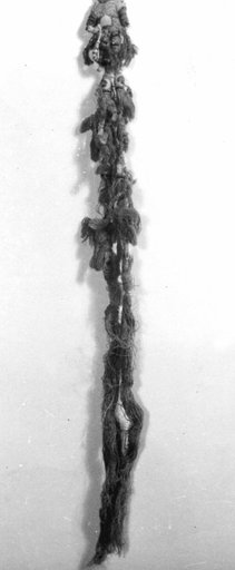Tassel