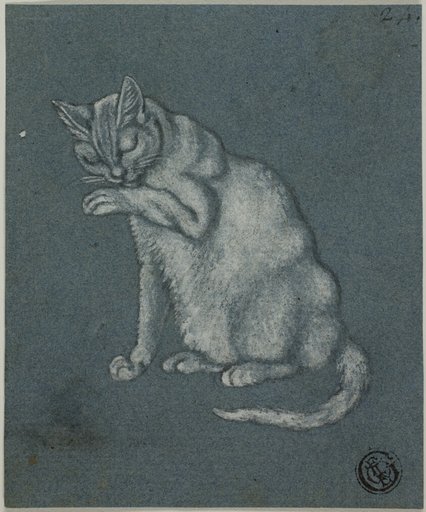 Cat Licking Paw