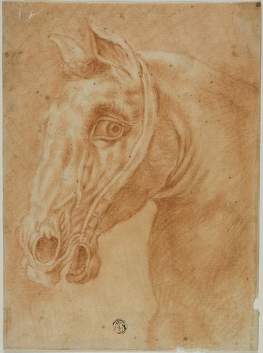Head of a Horse