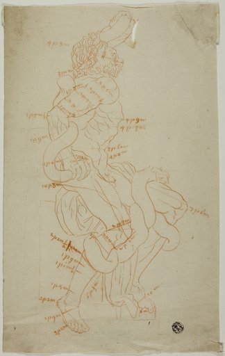 Study After Laocoon Sculpture