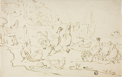 Chickens and Roosters in Yard