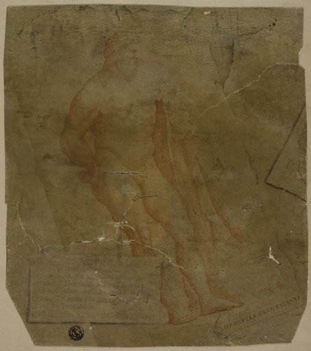 Hercules