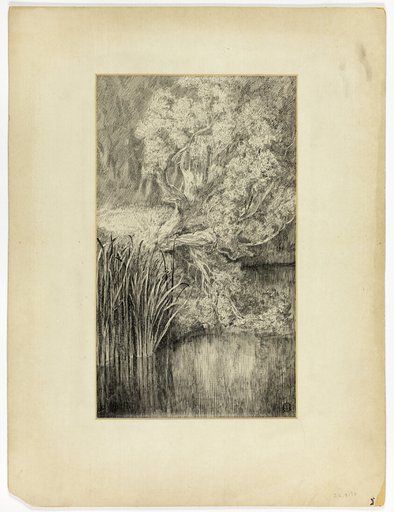 Little Pond in Woods