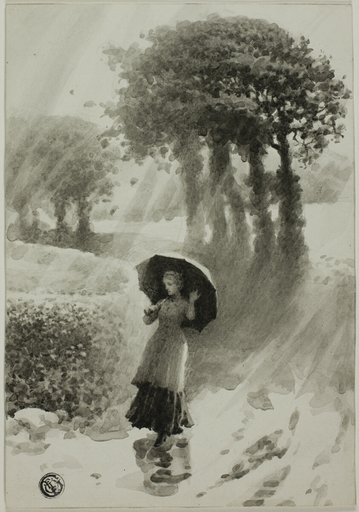 Summer Shower
