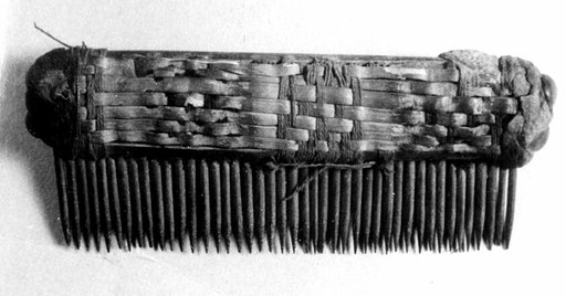 Comb