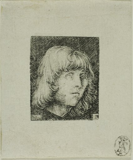 Head of a Young Man