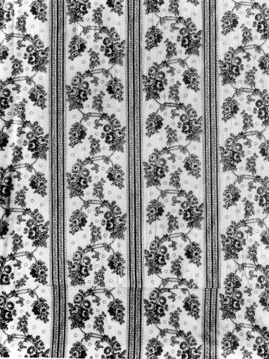 Panel