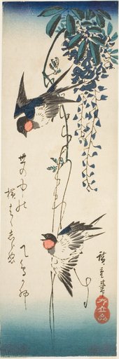 Swallows and wisteria