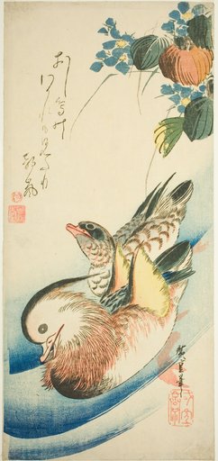 Mandarin ducks