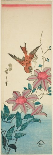 Sparrow and clematis