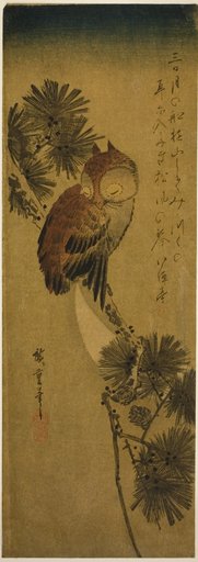 Small-horned owl, pine, and crescent moon