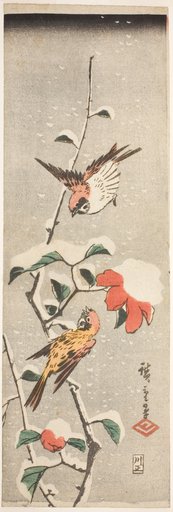 Sparrows and Camellia in Snow
