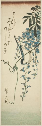 Bird and wisteria