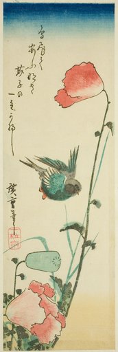 Swallow and poppies