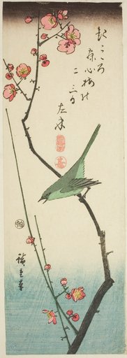 Bush warbler on plum branch