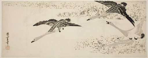 Descending Geese