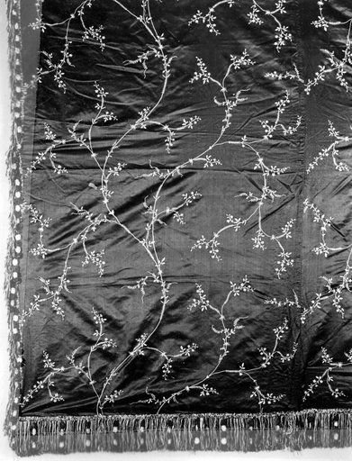 Curtain