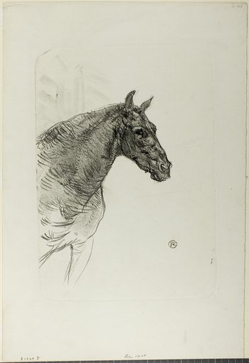 Philibert the Pony
