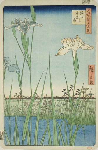 Irises at Horikiri (Horikiri no hanashobu), from the series "One Hundred Famous Views of Edo (Meisho Edo hyakkei)"