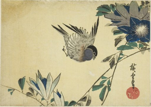 Bullfinch and clematis