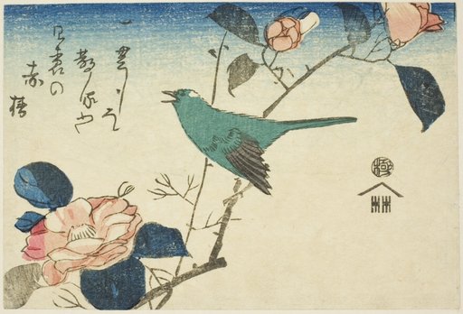 Bush warbler and camellia