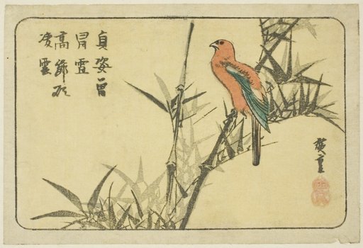 Macaw and bamboo